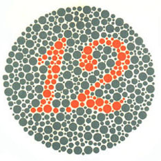 The Ishihara Plate number 12
